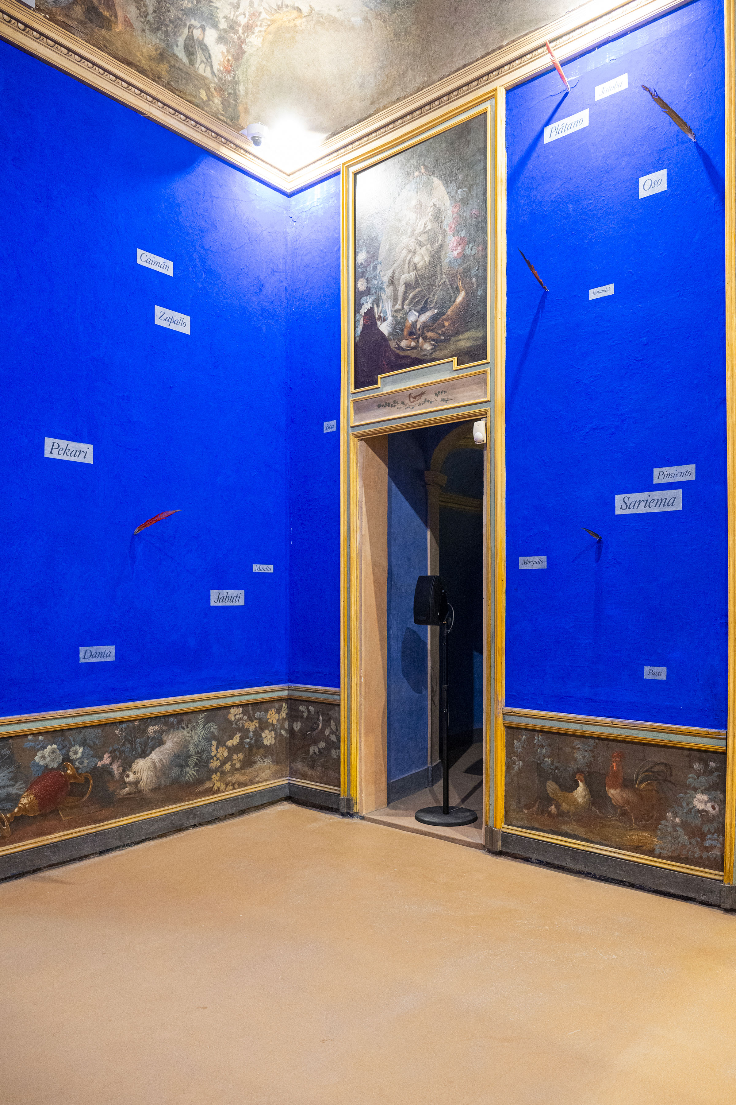 u0022I suoni del mondo / Sounds of the worldu0022, veduta espositiva